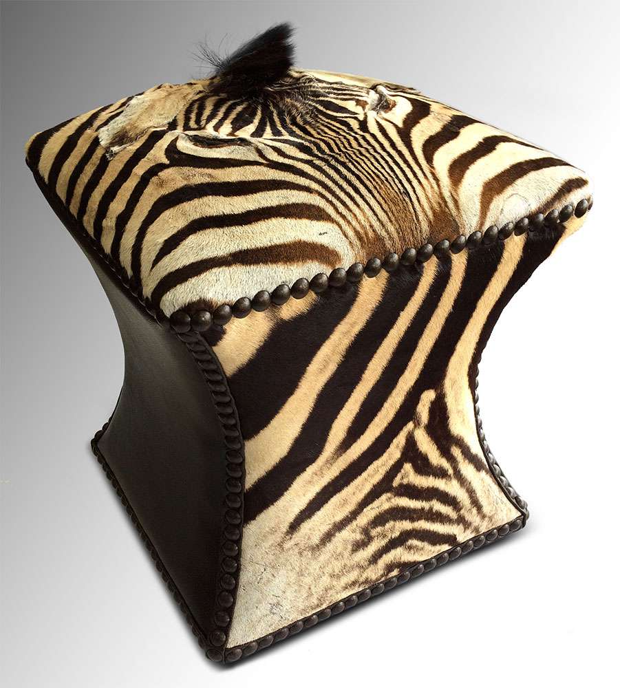 Safari Furniture Collection Baobab Zebra