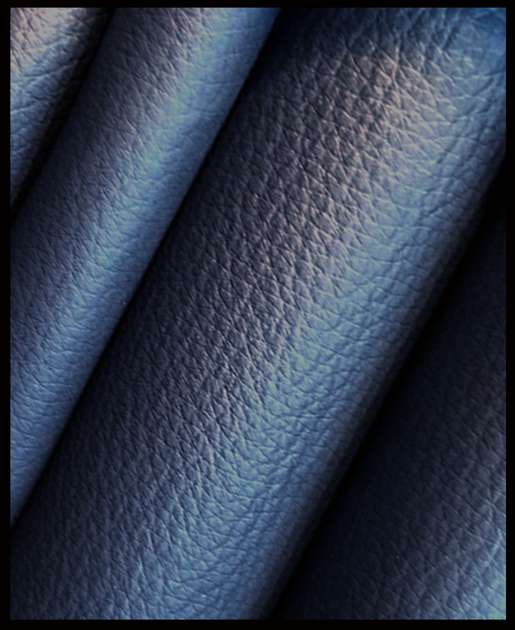 Sequoia Navy