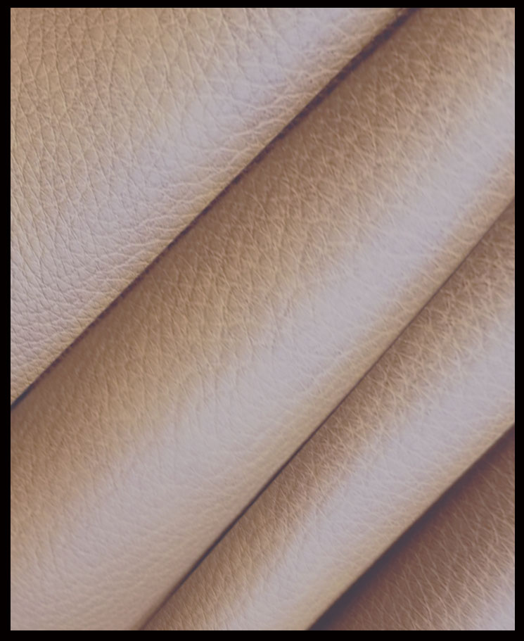 Sequoia Saddle